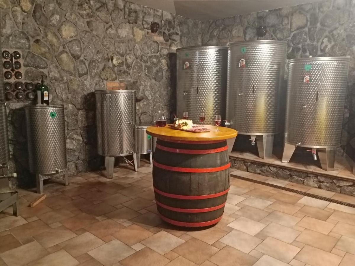 Apartament Zidanica Bundersek Šentjanž Zewnętrze zdjęcie